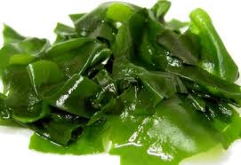 wakame